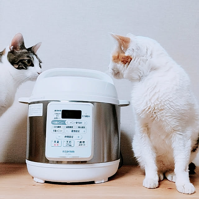 kirakirahikaruさんの実例写真