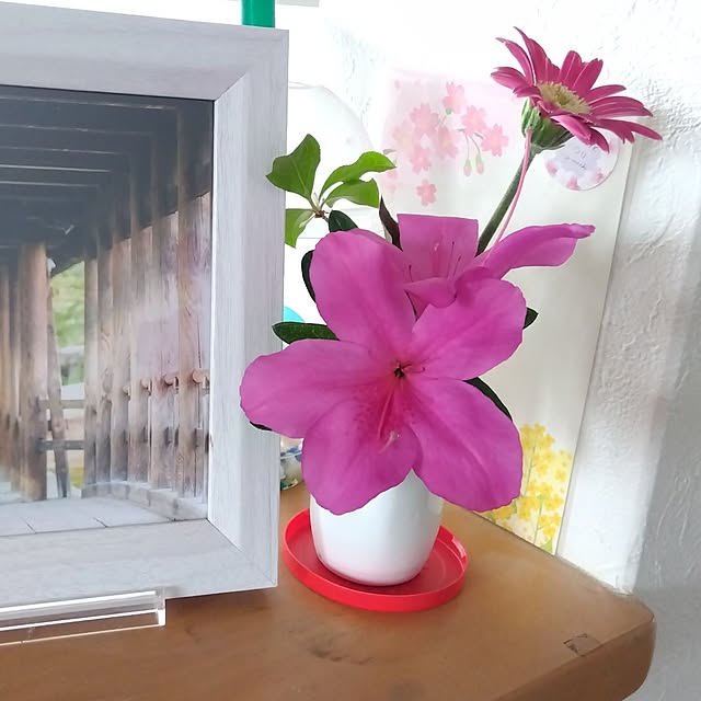 coco1204さんの部屋