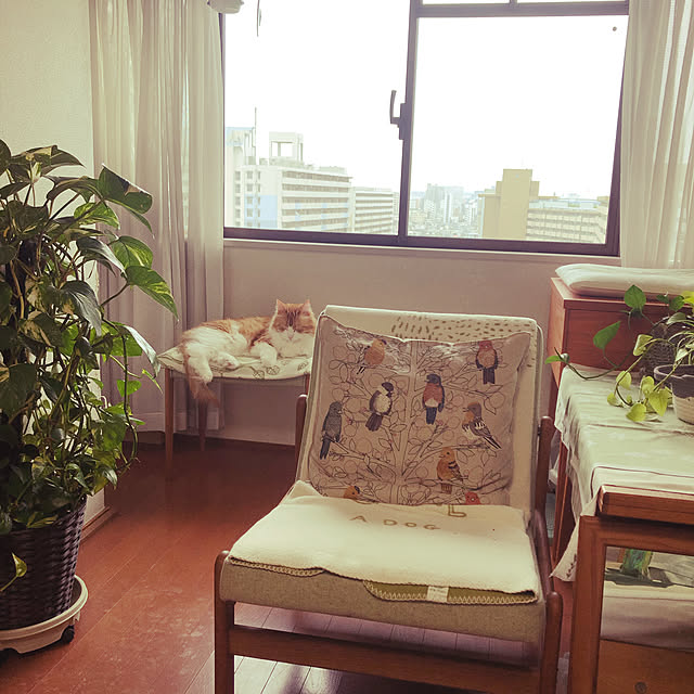 uchidaizuさんの実例写真