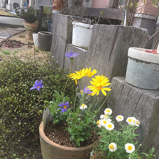 JjJjさんの実例写真