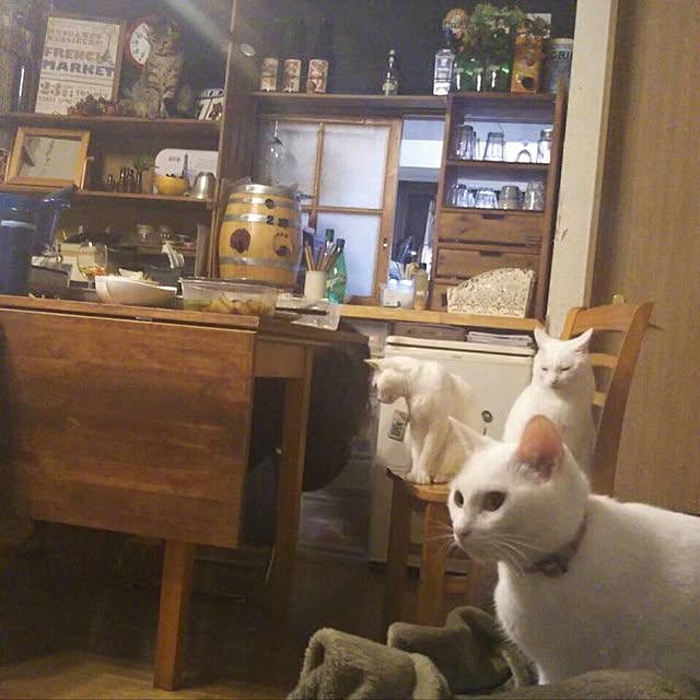 Miechamさんの実例写真