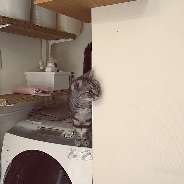 mikomaruさんの実例写真