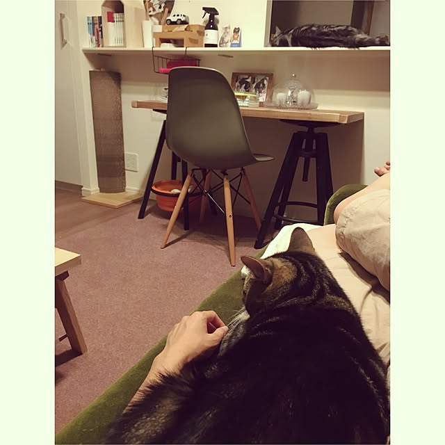 mikomaruさんの実例写真