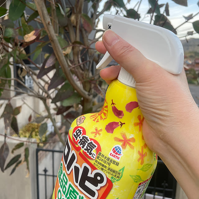 RAGIさんの実例写真