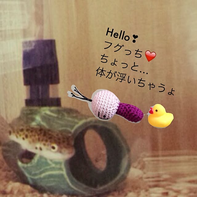 ponさんの実例写真