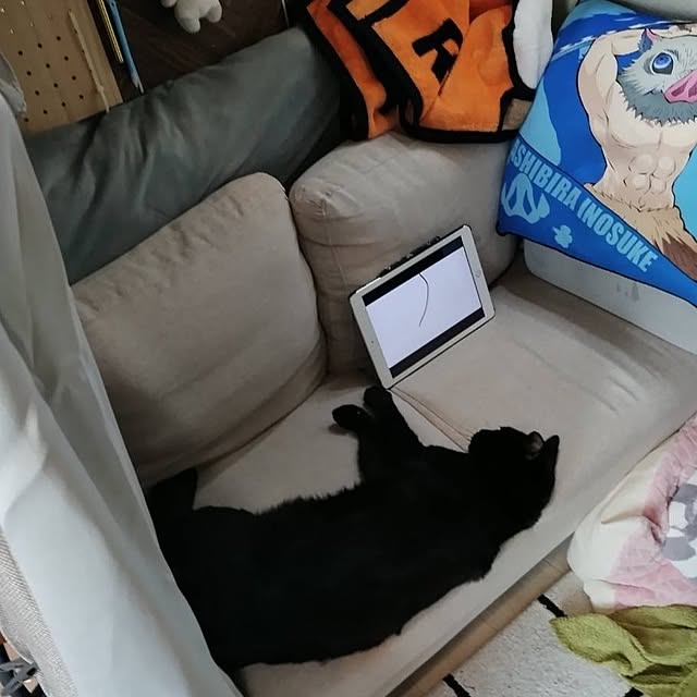 Tさんの実例写真