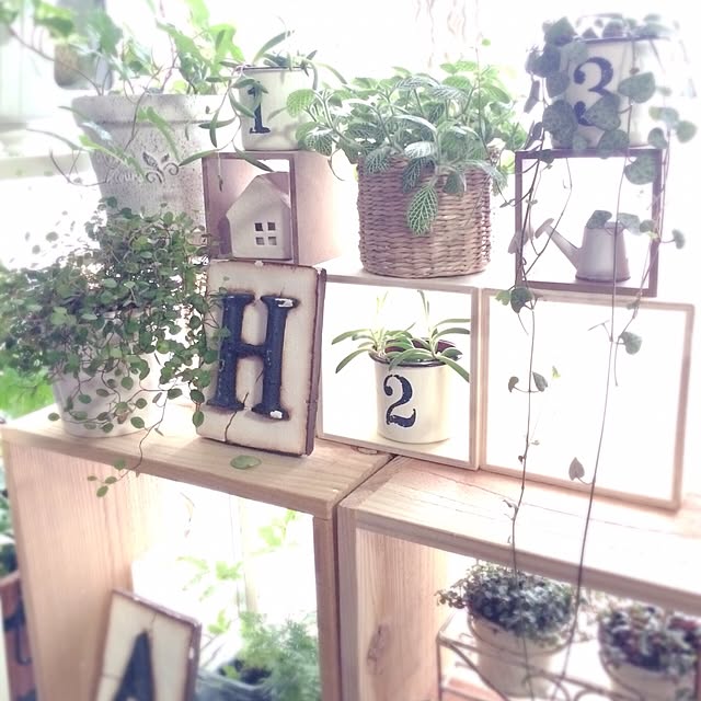 nodokaさんの実例写真