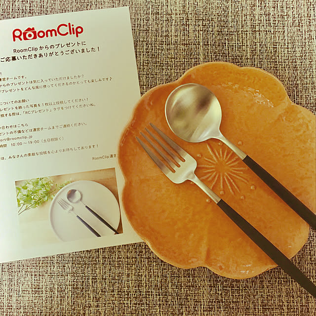 キッチン/RCプレゼントのインテリア実例 - 2019-03-24 19:34:52