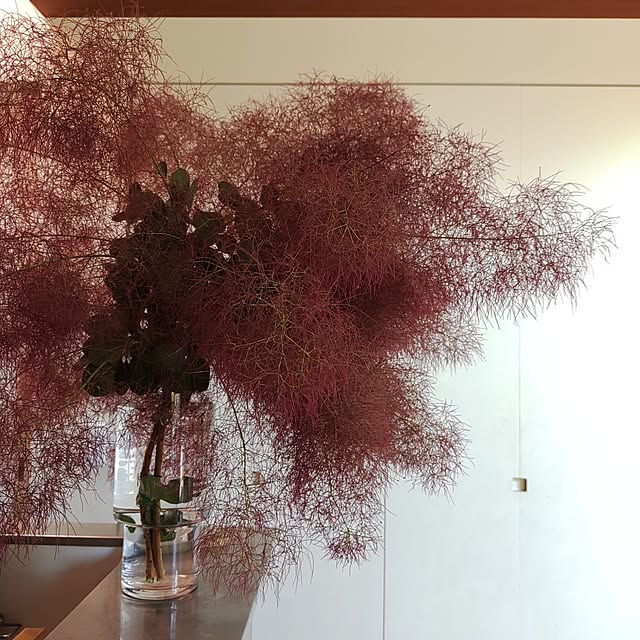 sonaさんの部屋