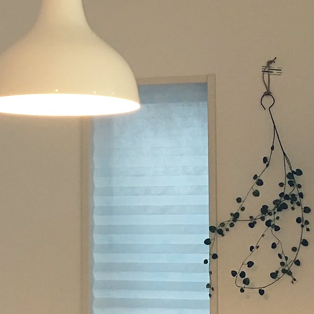 stskzmさんの実例写真