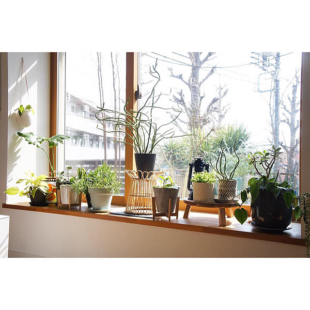 noriflowerさんの実例写真