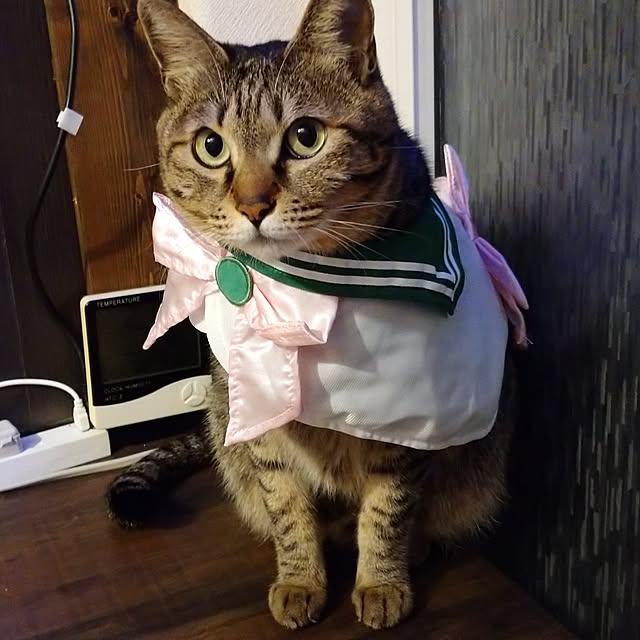 raraさんの実例写真