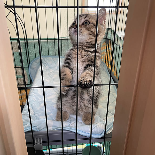 chiiさんの部屋