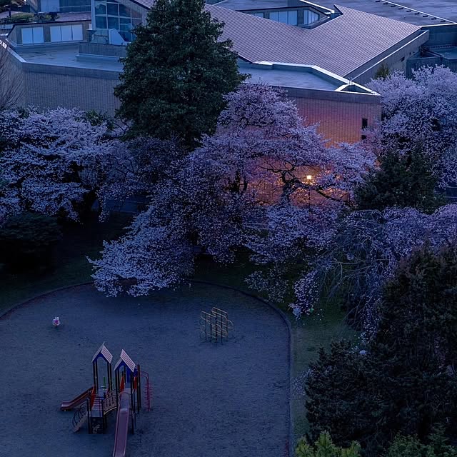 実例写真