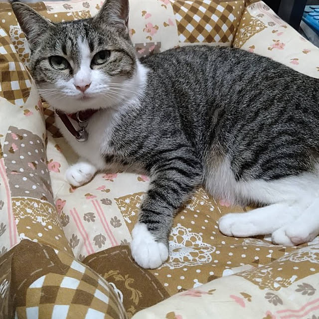 sakai0531cさんの実例写真