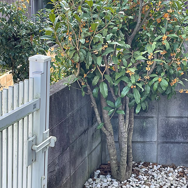 nobikoさんの実例写真
