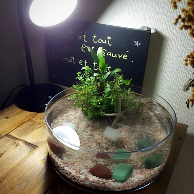 amiko...さんの実例写真