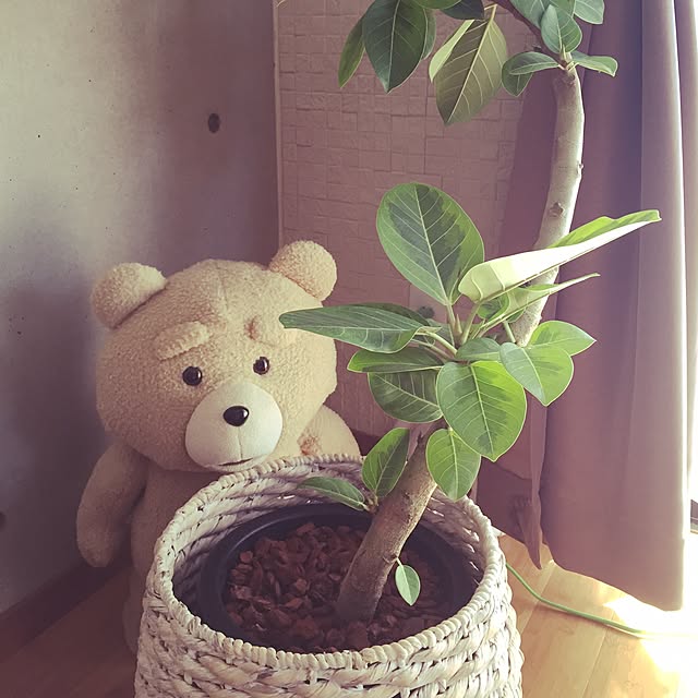 naonaoさんの実例写真