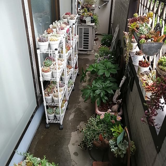 teruminさんの部屋