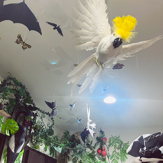 takakuzenさんの部屋
