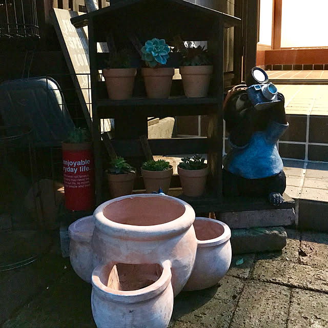 butachanさんの実例写真