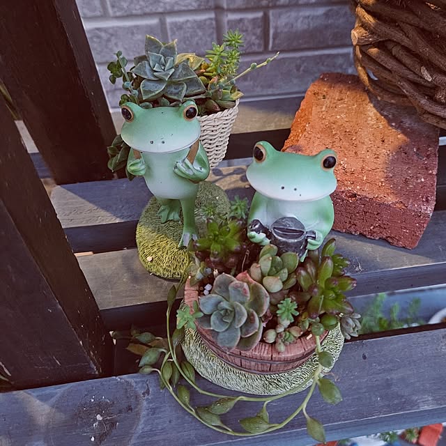 mocomocoさんの部屋