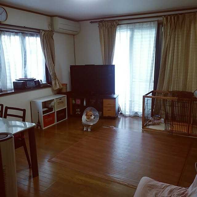 cohakuさんの実例写真