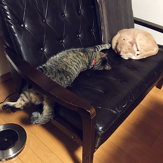 mikan161さんの実例写真