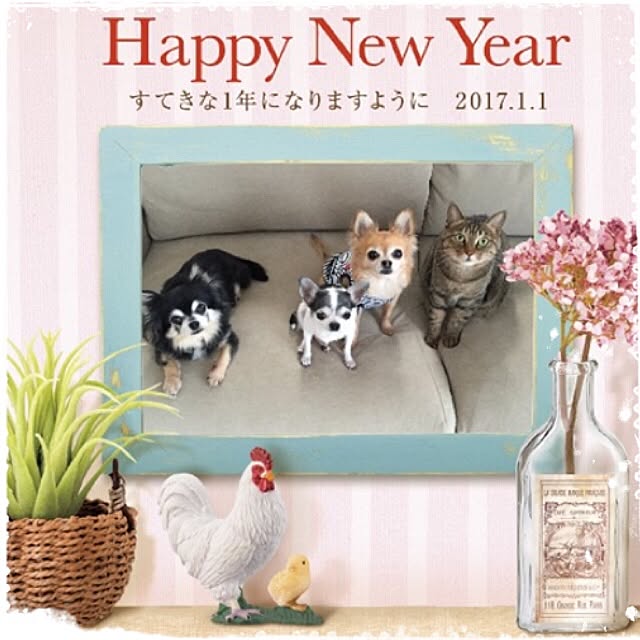 Emiさんの実例写真
