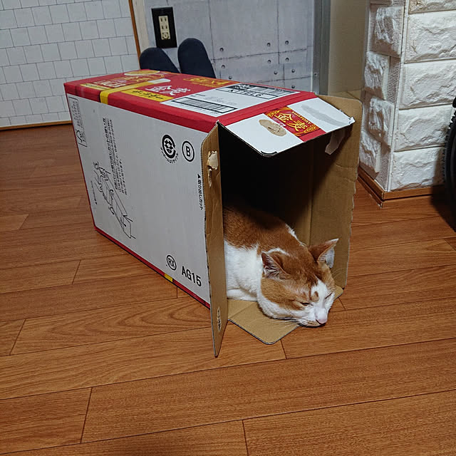 mugi77327732さんの実例写真