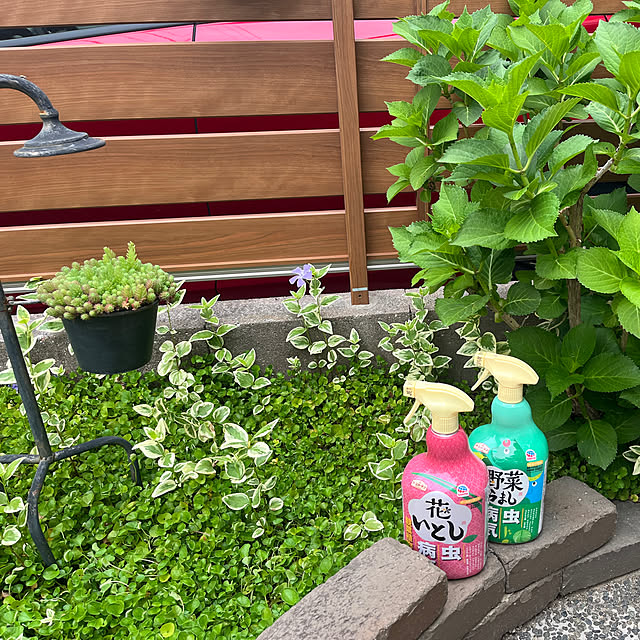 haruminさんの実例写真