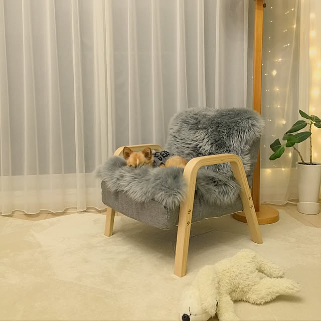 haruhinaさんの実例写真