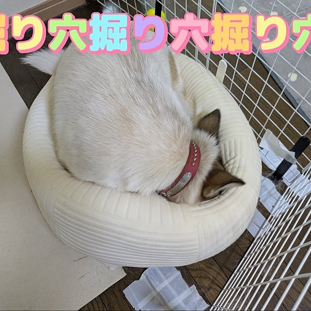 asaさんの部屋