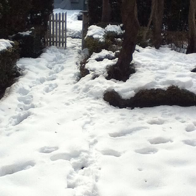 emichanbooさんの実例写真