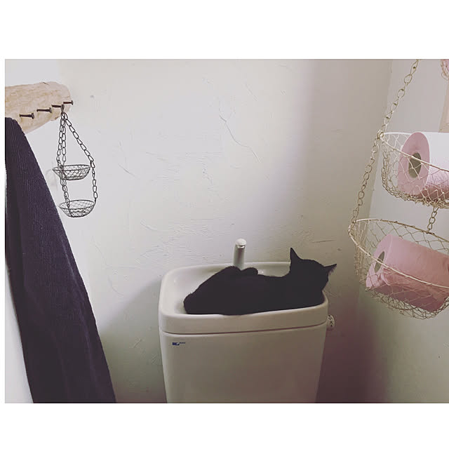 bowbowcoさんの実例写真