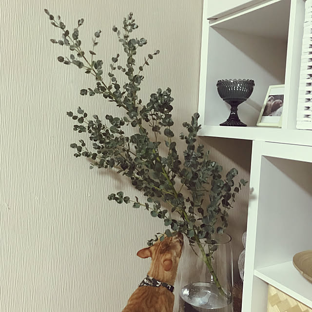 mtkさんの実例写真