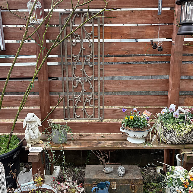 mayumiさんの部屋