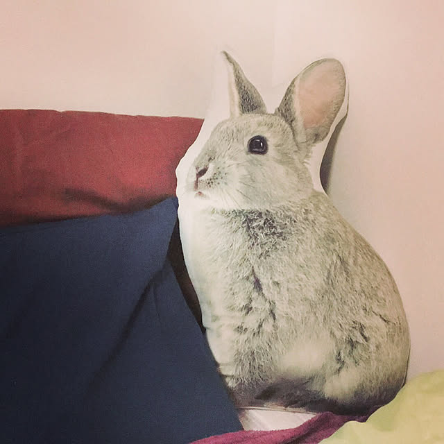 Yukikoさんの実例写真