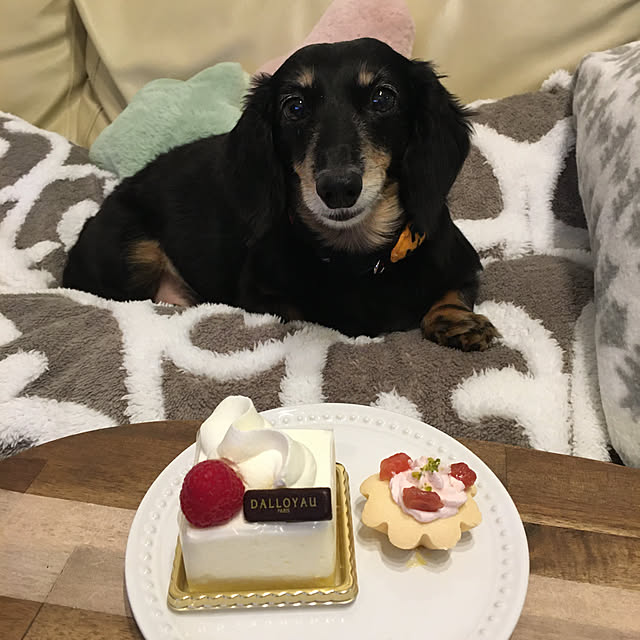 youmitsuさんの実例写真