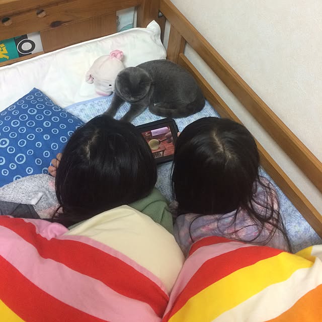 Shojiさんの実例写真