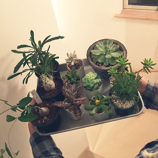 marley0209さんの実例写真