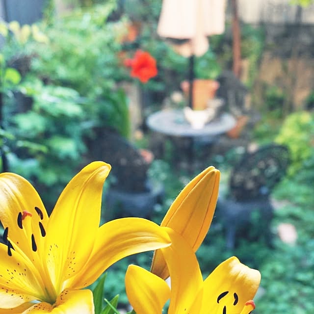 aromameさんの実例写真