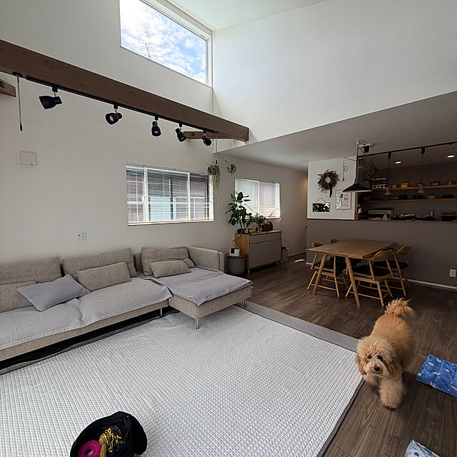 temayutomaさんの実例写真