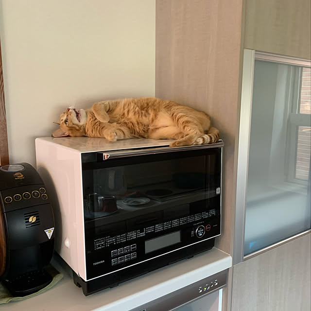mikeume7さんの実例写真
