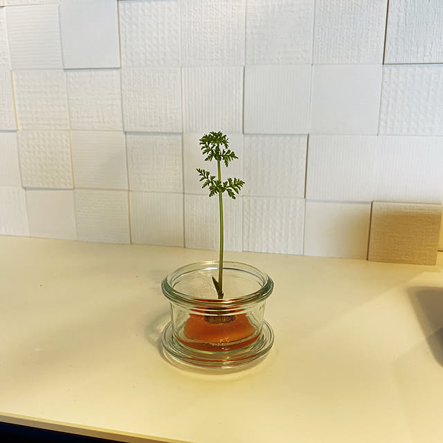 観葉植物/水耕栽培/再利用/フラワーベース/保存容器...などのインテリア実例 - 2021-05-27 11:08:38