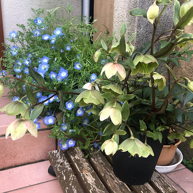 fumikoiさんの部屋