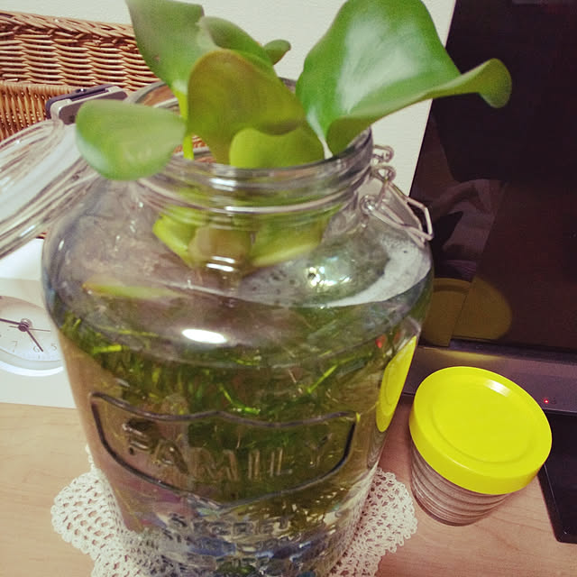 korohukumamanさんの実例写真