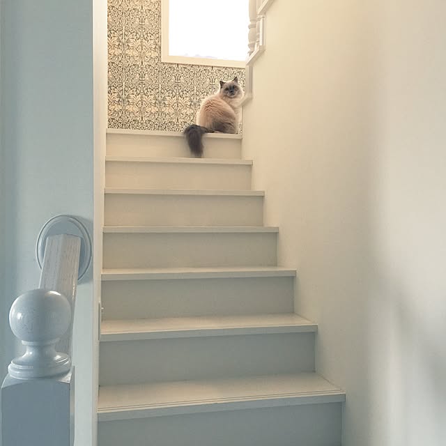 yuchiさんの実例写真