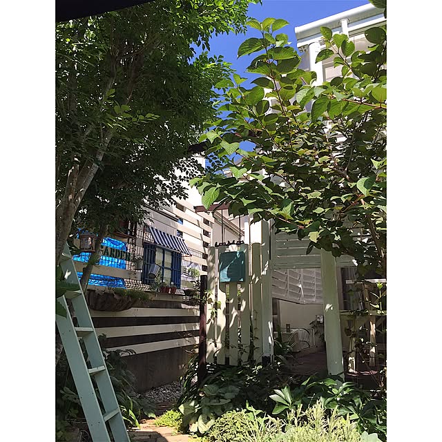 cherryさんの実例写真