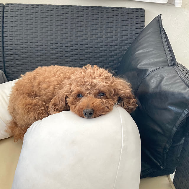 MOMOMAMAさんの部屋